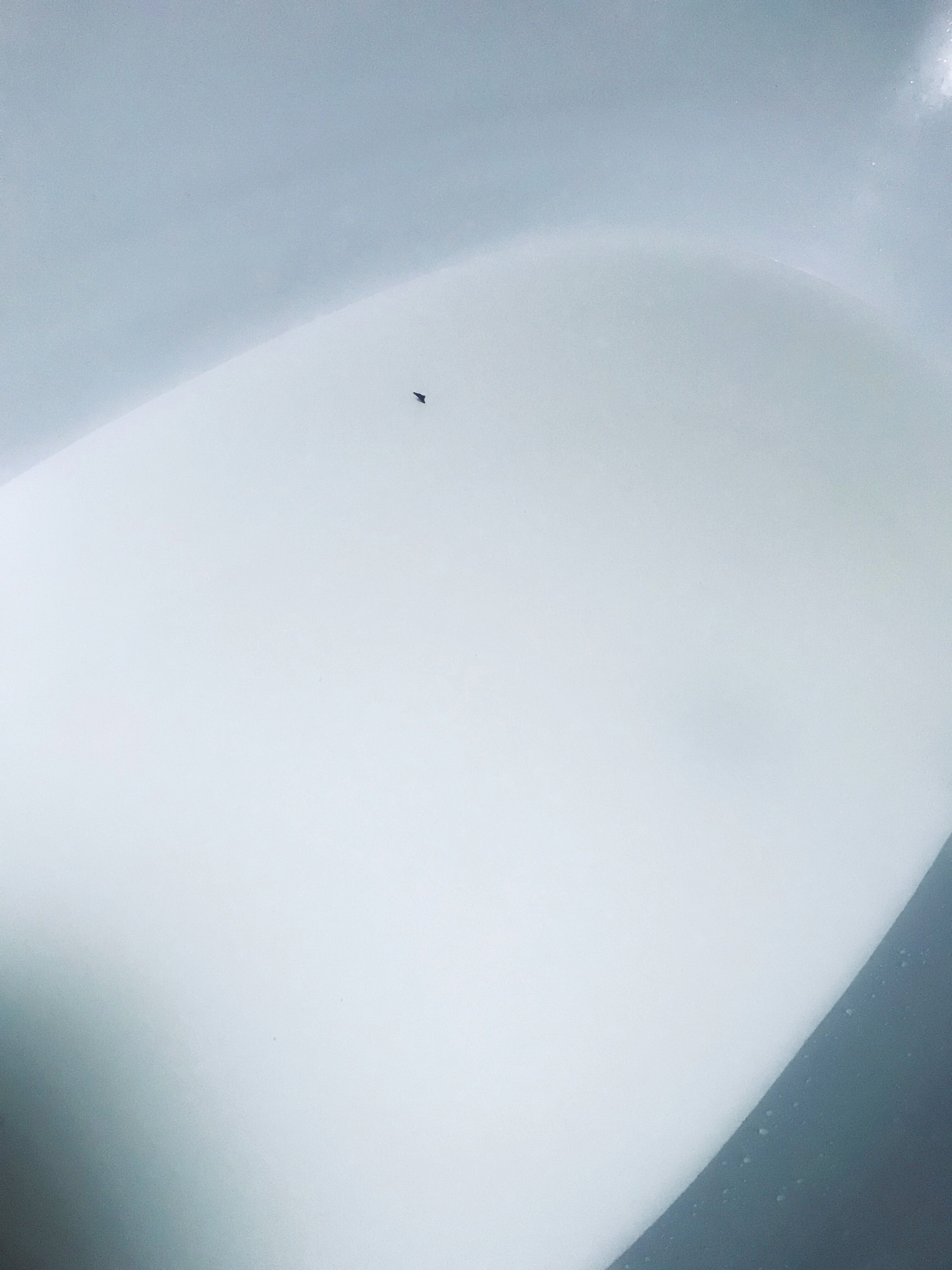 Bath tea for a milky and silky smooth bath