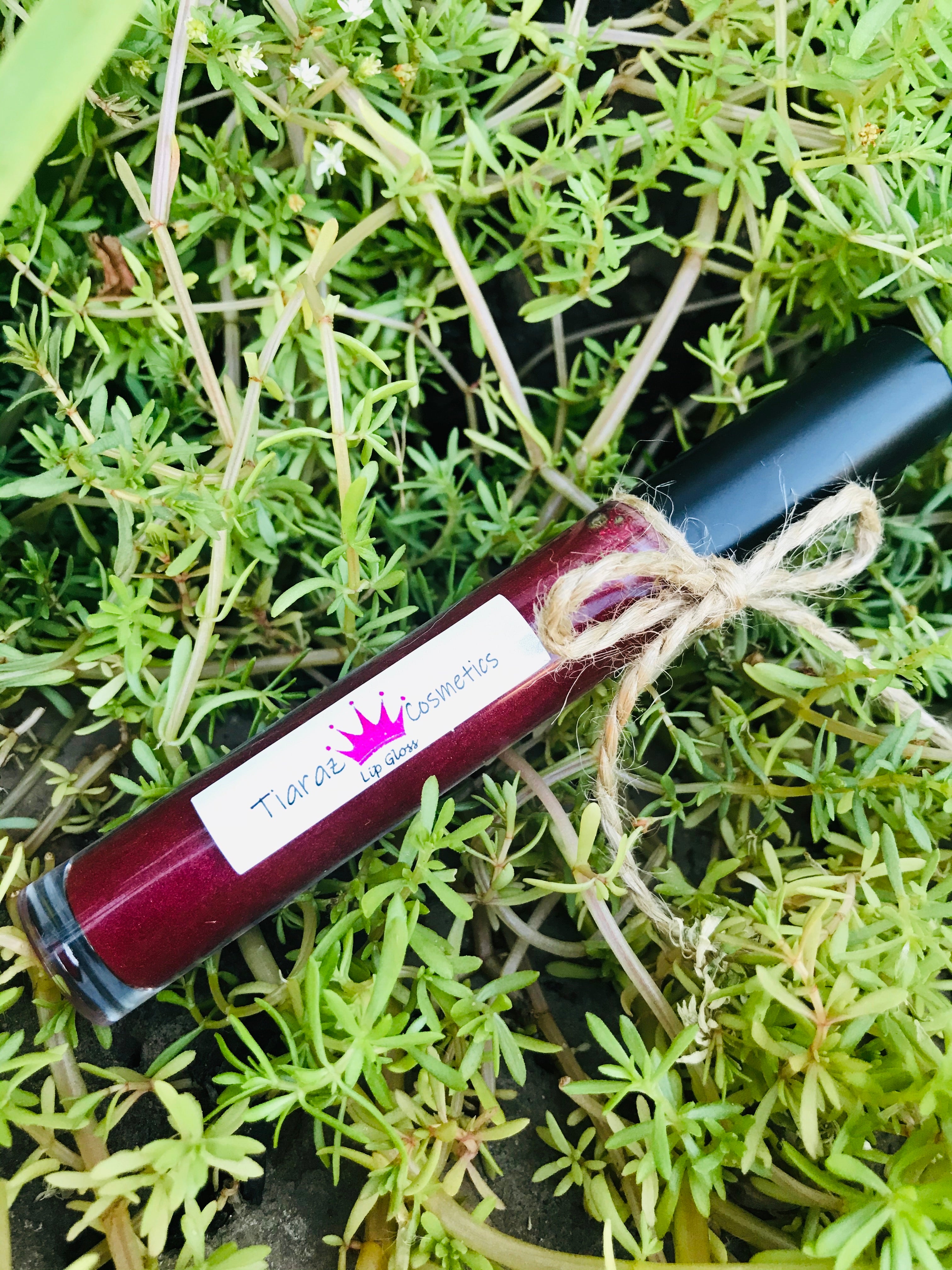 Plum Kisses Lip Gloss In Black Large Wand