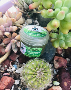 25ml Hemp and Moringa Healing Balm