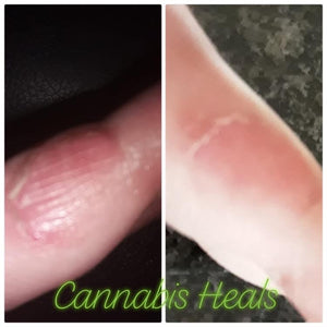 50ml Hemp and Moringa Balm