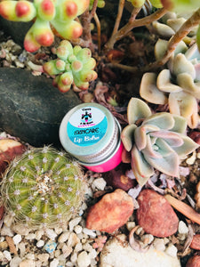 25ml Lip Balm with Shea and Cocoa butter glass jar
